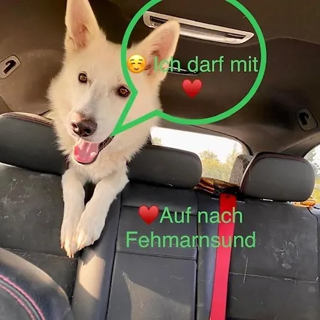 Fehmarnsund Zauber 1 Hund Erlaubt *